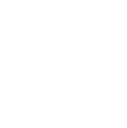 Softies (Soft Corals)